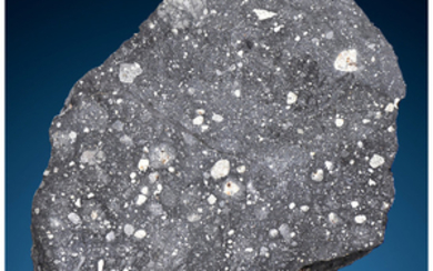 NWA 8641 Lunar Meteorite: Large Piece of the...