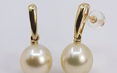 9x10mm Golden South Sea Pearls Earrings - Yellow gold
