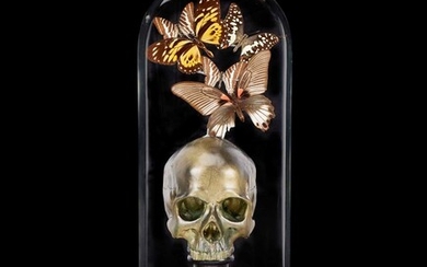 A MEMENTO MORI DISPLAY WITH REAL BUTTERFLIES “KALEIDOSCOPE OF THE MIND II”