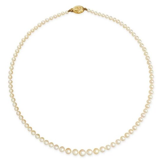 A NATURAL SALTWATER PEARL NECKLACE in 9ct yellow gold, comprising a single row of graduated pearls