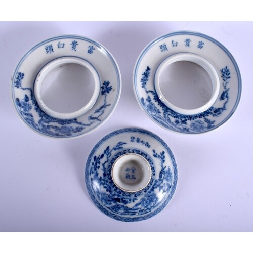 A PAIR OF 19TH CENTURY CHINESE BLUE AND WHITE PORCELAIN TEAB...
