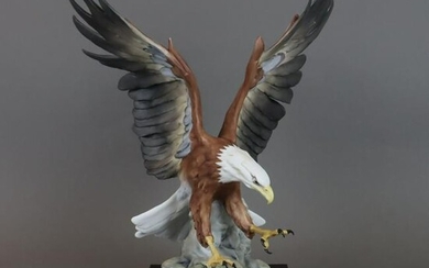 Der Weisskopfadler/ American Bald Eagle/ Haliaeetus
