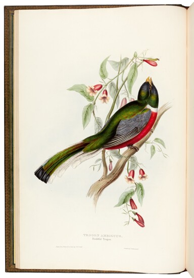GOULD, J. | Monograph of the Trogonidae, London 1835-1838, folio
