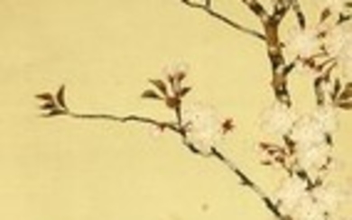 Hanging scroll - Silk - Bird on Sakura tree - With signature 'Taigen' 泰嚴 and seal 'Tomita' 富田 - Japan - Early 20th century