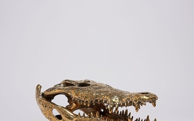 Large Saltwater Crocodile Skull fashioned in bronze - Crocodylus porosus - Bronze