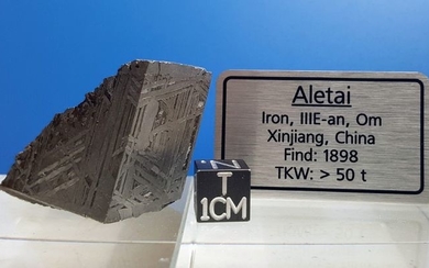 Meteorite ALETAI - Iron IIIE-an - 41×34×19 mm - 88.9 g