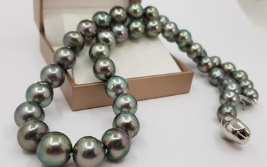 NO RESERVE - 8.6x11.5mm Peacock Tahitian pearls - Necklace