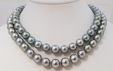 NO RESERVE PRICE - 10x12mm Silvery Grey Tahitian Pearls - Double 2strand Necklace
