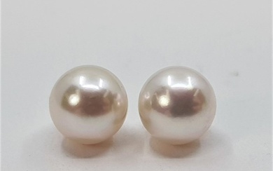 No Reserve Price - 7x7.5mm Bright Round Akoya Pearls - Earrings Yellow gold