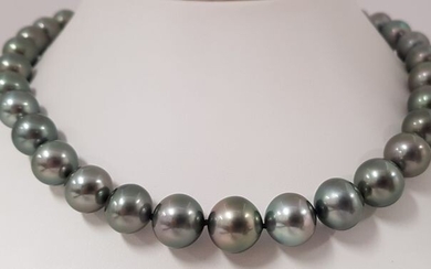 No reserve price - 18 kt. White Gold - 11x14mm Large Peacock Green Round Tahitian Pearls - Necklace