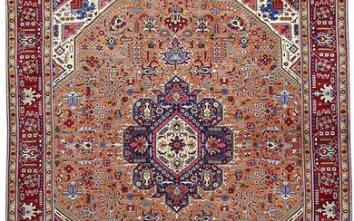 PEACH 10' x 13' Persian Tabriz Rug 80624