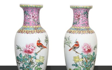 Pair of polychrome Chinese vases with birds