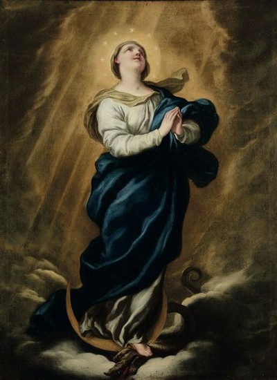Paolo Gerolamo Piola (Genova 1666-1724), Madonna
