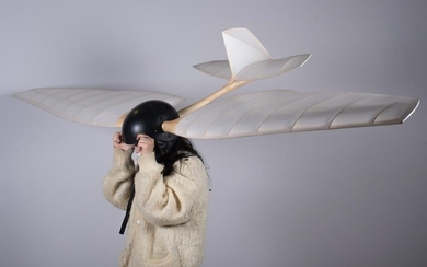 Paul Villinski Sculpture "Aerodyne"