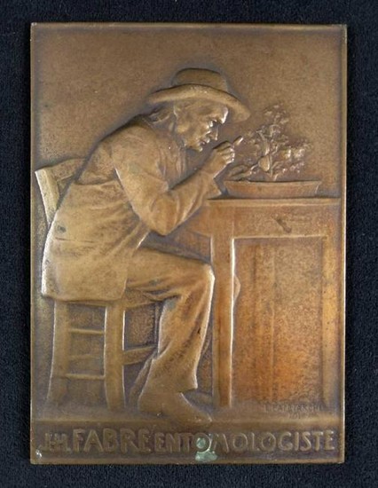 Rare Bronze Plaque The Entomologist by L Patriarche