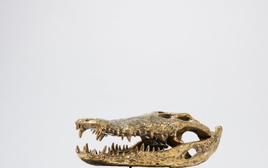 Sculpture, Heavy XL Saltwater Crocodile Skull fashioned in bronze on custom stand - Crocodylus Porosus - 25 cm - Bronze