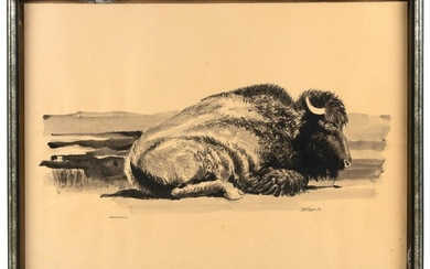 Sleeping Buffalo, framed