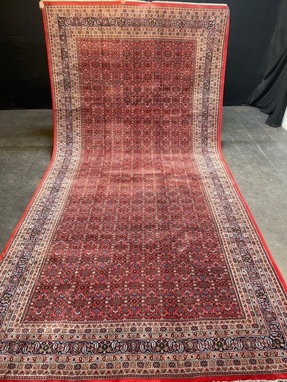 Tabriz - Carpet - 495 cm - 240 cm