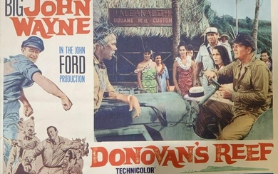 Vintage Donovan’s Relief Movie Poster Lithograph