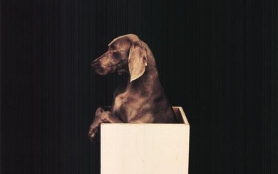 William Wegman - In the Box (Right) - 1987 Offset Lithograph 28" x 23"