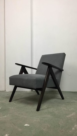 ZMG Radomsko - Lounge Chair - B-310VAR