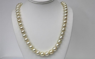 10-12mm Champagne South Sea Round Necklace with Gold