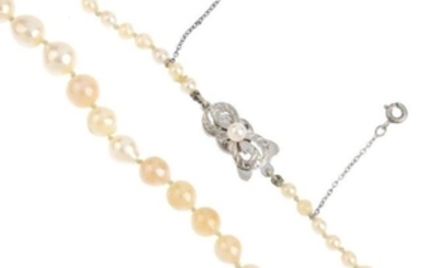 A cultured pearl single-strand necklace. Comprising 288