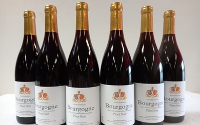 6 bouteilles de Bourgogne Pinot Noir Présumé.2008.... - Lot 38 - Enchères Maisons-Laffitte