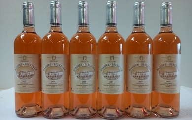 6 bouteilles de Château Barbier Bellevue... - Lot 38 - Enchères Maisons-Laffitte