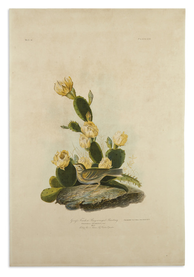 AUDUBON, JOHN JAMES. Group of 6 chromolithographed plates from the Bien edition of...