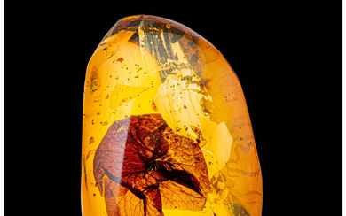 Amber with Flower Inclusion Hymenaea sp. Miocene Chiapas, Mexico...