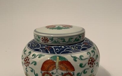 Chinese Doucai Butterflg Jar Tian Mark