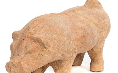 Chinese Eastern Han Dynasty Terracotta Pig