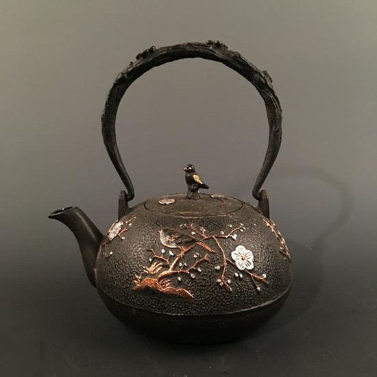 Chinese Iron 'Bird&Flower' Teapot