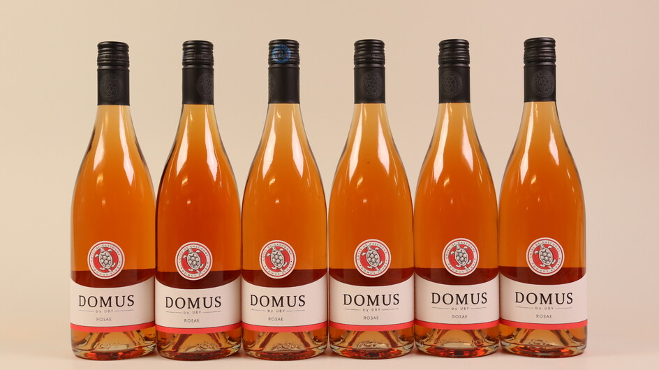Côtes de Gascogne Rosé 'Domus' 2016