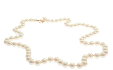 Cultured Pearl, 14k Yellow Gold Necklace
