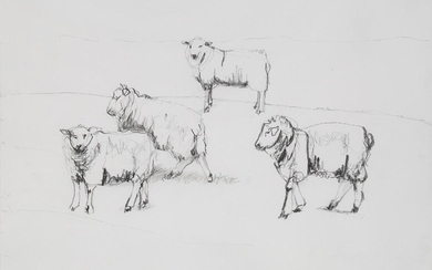 Dido Crosby, British b.1961- Four Sheep, Romney, 2001; pencil on paper, signed and dated lower right 'Dido Crosby 7.9.01' and titled lower left, 29.5 x 41.8 cm: together with another pencil on paper by the same artist of the same size 'Orkney Ram...