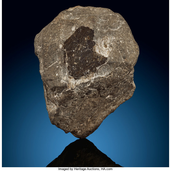 NWA 12368 Lunar Meteorite Lunar (feldspathic breccia) Northwest...