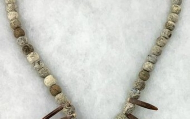 Necklace Made of Multiple Ancient Fossils.