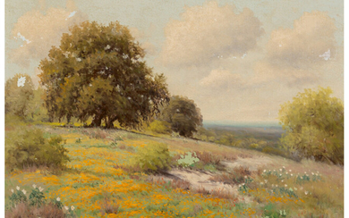 Palmer Chrisman (1913-1984), Texas Wildflowers