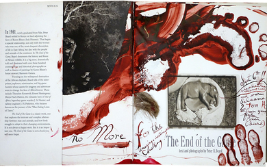 Peter Beard The End of the Game, 2000