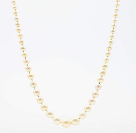 Platinum Diamond Pearl Necklace