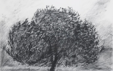 λ Richard Hoare (British b.1967) , Holm Oak at Dusk - Quercus Ilex