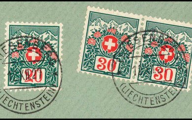 Switzerland postage dues in Liechtenstein