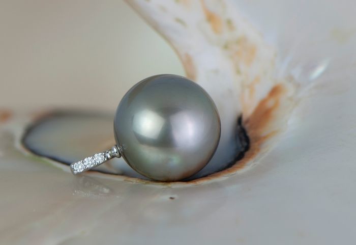 14 kt. White gold - Tahitian pearls 11.3mm pendant with diamond
