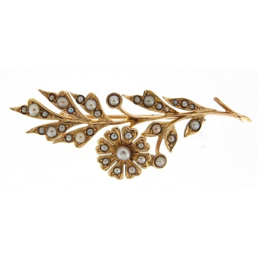 15ct gold seed pearl floral brooch, 5cm wide, 4.9g