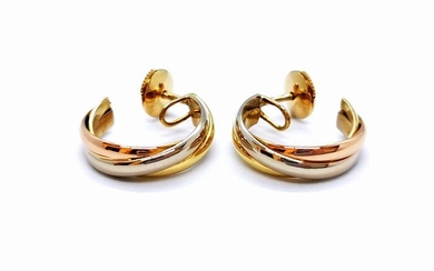 18 kts. Pink gold - Earrings
