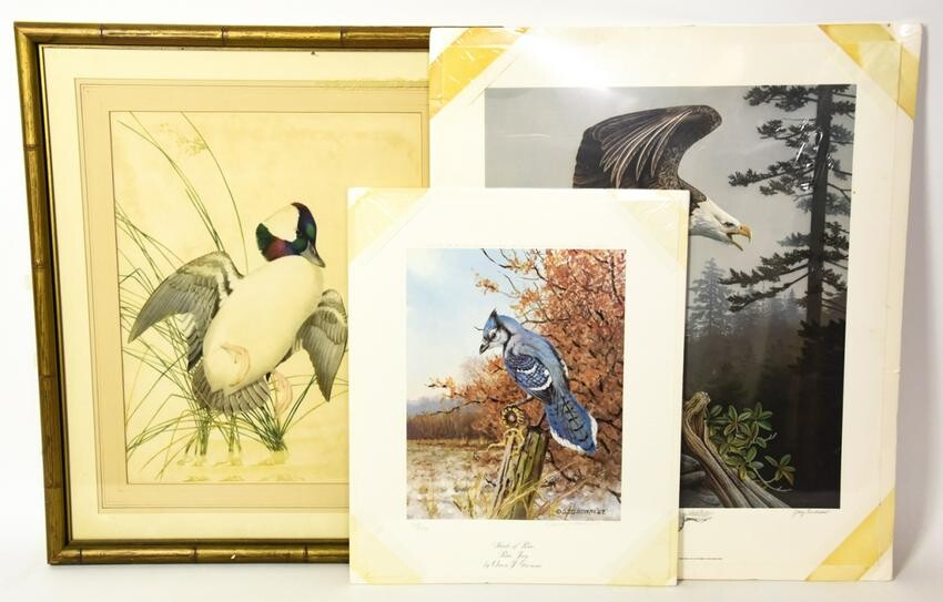 3 Bird Prints Owen Romme, Gary Gadamus, More