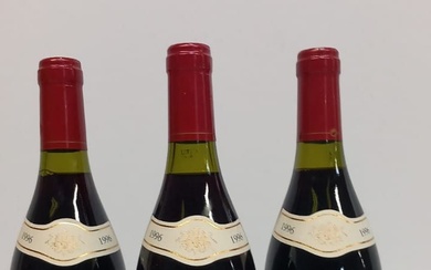 3 bouteilles de Hautes Côtes de Nuits 1996 Le Nectar des Vignes Domaine Tuil Père...