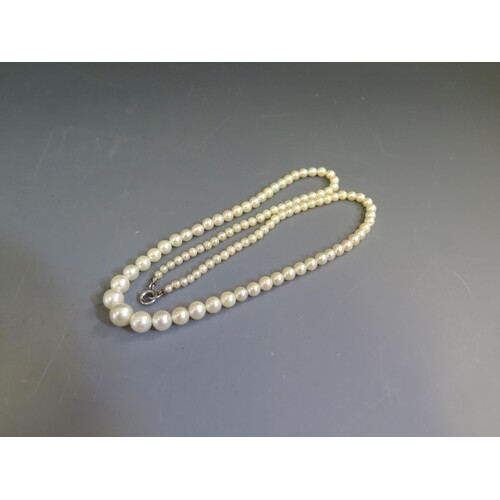 A 17" Graduated Cultured Pearl Necklace